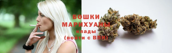 прущие крисы Каменногорск