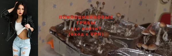 прущие крисы Каменногорск