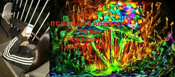 прущие крисы Каменногорск